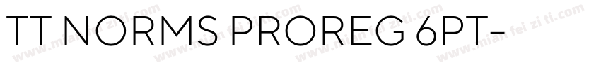 TT NORMS PROREG 6PT字体转换